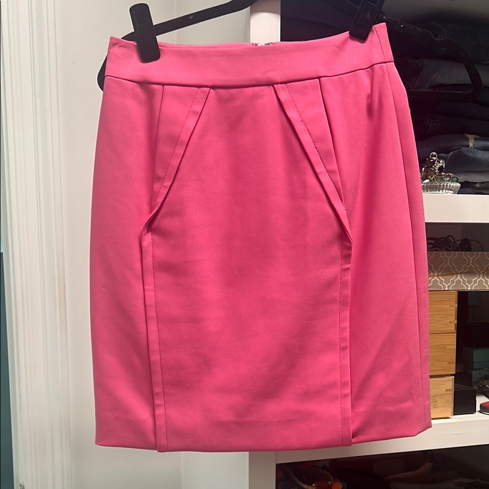 Elegant Pink Skirt